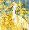 another bird