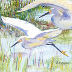 SNOWY EGRETS WATERCOLOR 7X5