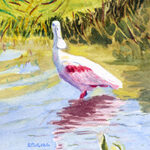 ROSEATE SPOONBILL WATERCOLOR 5X7