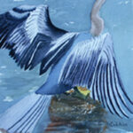 LORRIE'S BIRDS WATERCOLOR 15X11