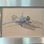 DRAGON FLY BLUE COLORED PENCIL 5X5