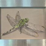 DRAGON FLY GREEN COLORED PENCIL 5X5