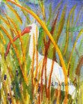 IBIS GOLD REEDS WATERCOLOR 4X6
