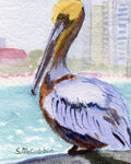 PELICAN CLWR BEACH WATERCOLOR 4X6