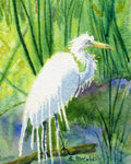 WET EGRET WATERCOLOR 4X6