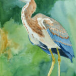 TRICOLOR WATERCOLOR 23X11