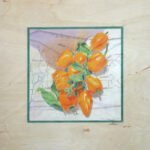HABANEROS ON MAP COLORED PENCIL 10X10