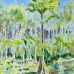 105 CYPRESS IN BROOKER CREEK WATERCOLOR PLEIN AIR 15X11