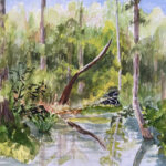 134 BROOKER CREEK BOARDWALK WATERCOLOR 12X16