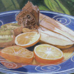 BAD BUTTER FLY ON PLATE COLORED PENCIL 9X12