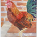 16 ROOSTER WATERCOLOR 15X11