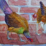 17 HENS WATERCOLOR 15X11