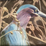 176 LITTLE GREEN HERON IN WEEDS COLORED PENCIL 5X7
