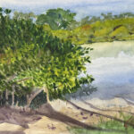 187 MANGROVES SHELTER 9 WATERCOLOR PLEIN AIR 9X11