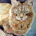 29 CAT WATERCOLOR 15X11