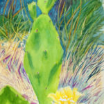 57 CACTUS FLOWER WATERCOLOR 30X11